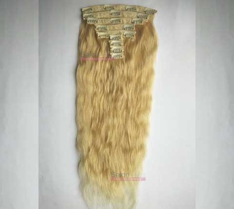 Clip On Hair Extensions